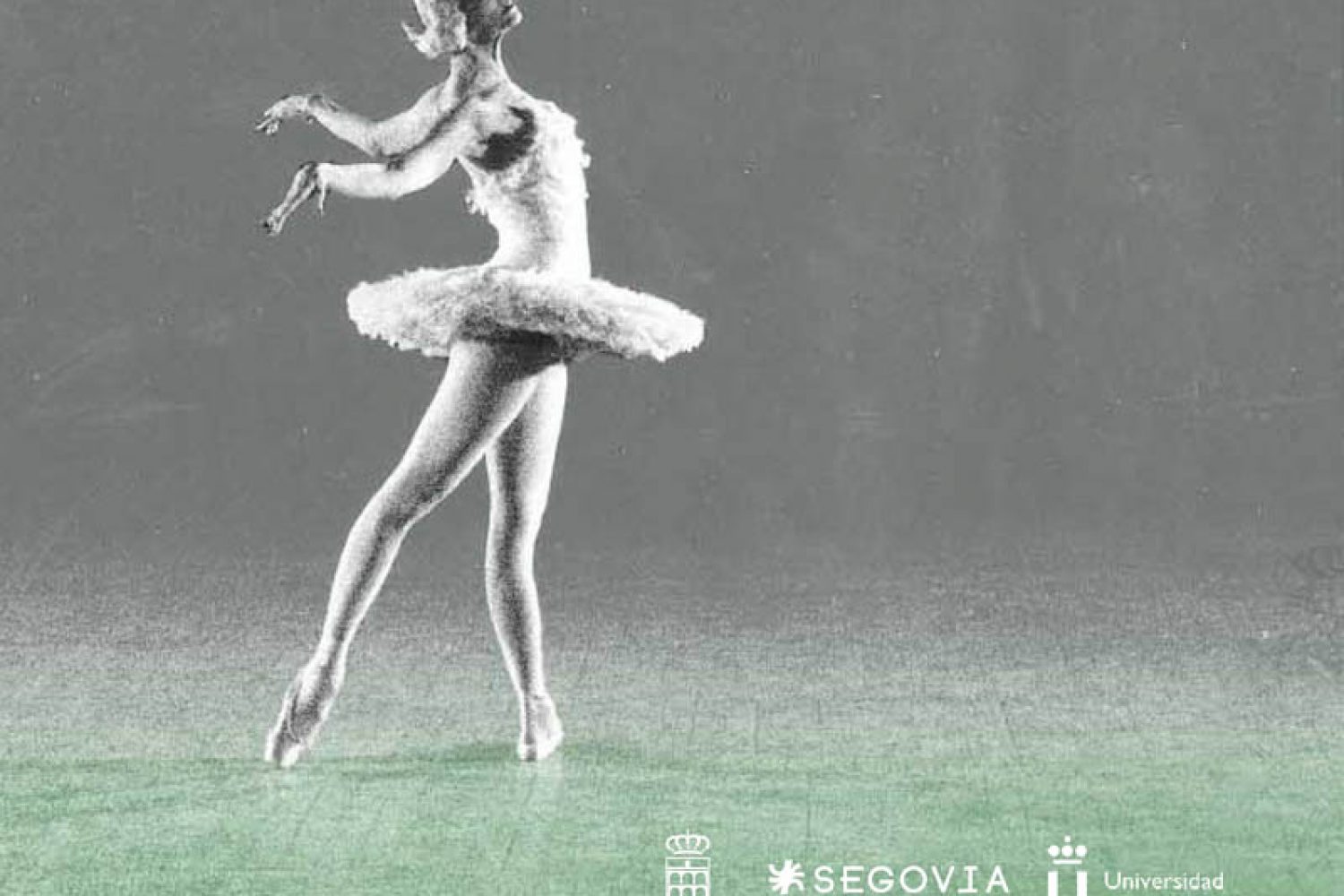 Cartel Segovia en Danza 2014