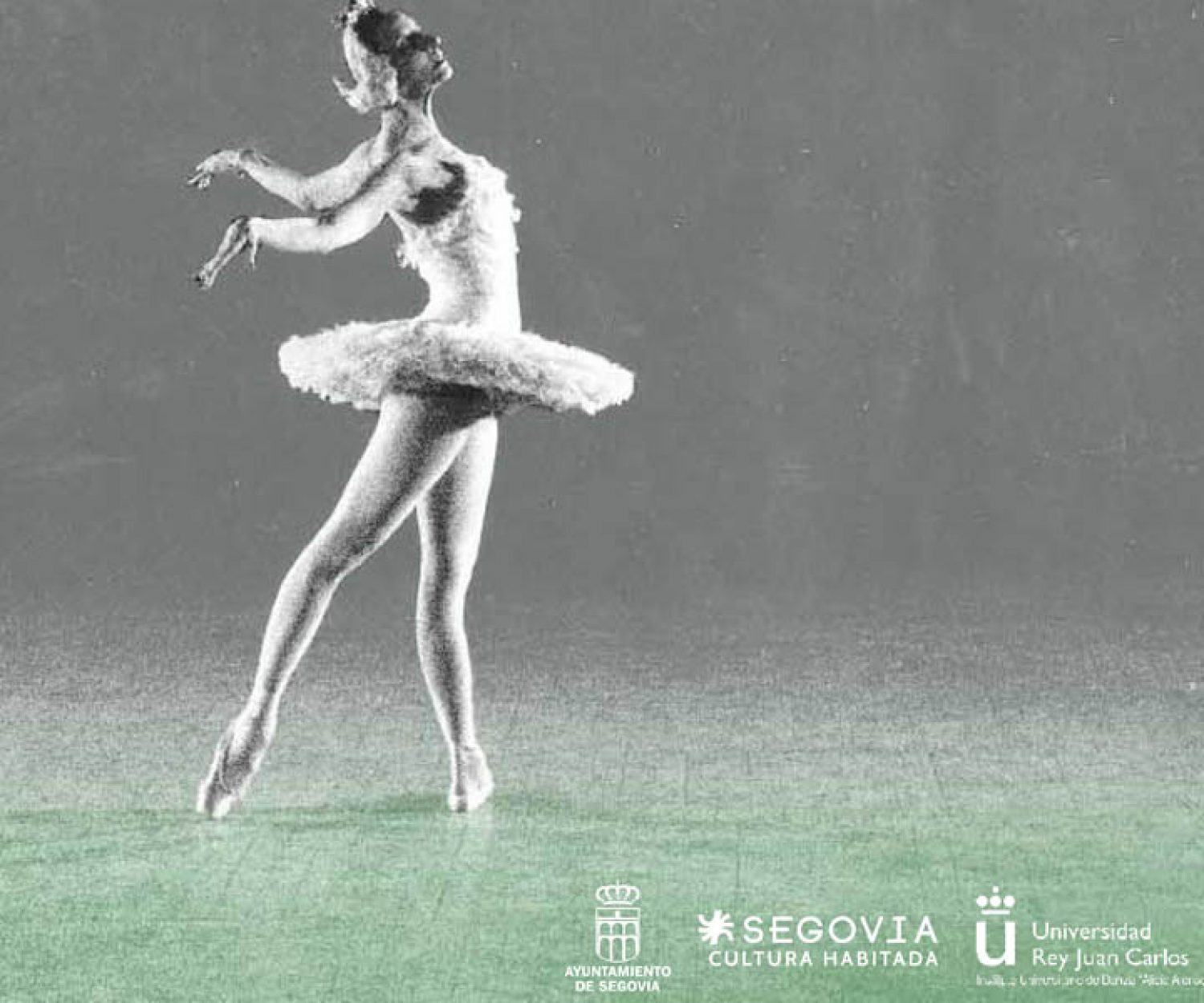 Cartel Segovia en Danza 2014