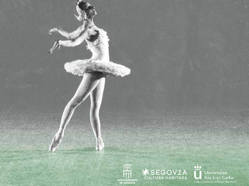 Cartel Segovia en Danza 2014