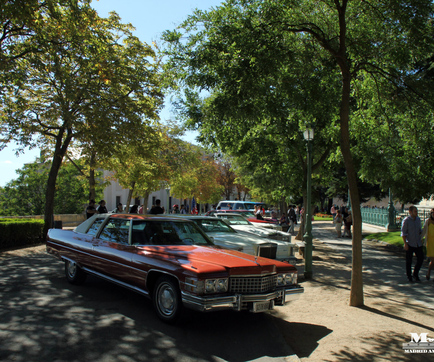 Americans cars