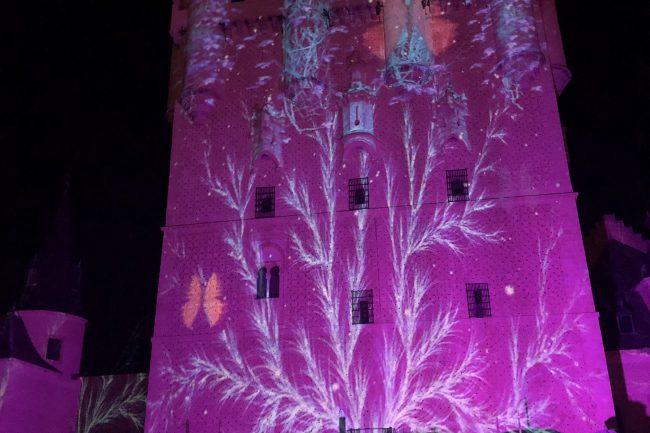 Alcazar de Segovia Reyes Magos 2019 (19)
